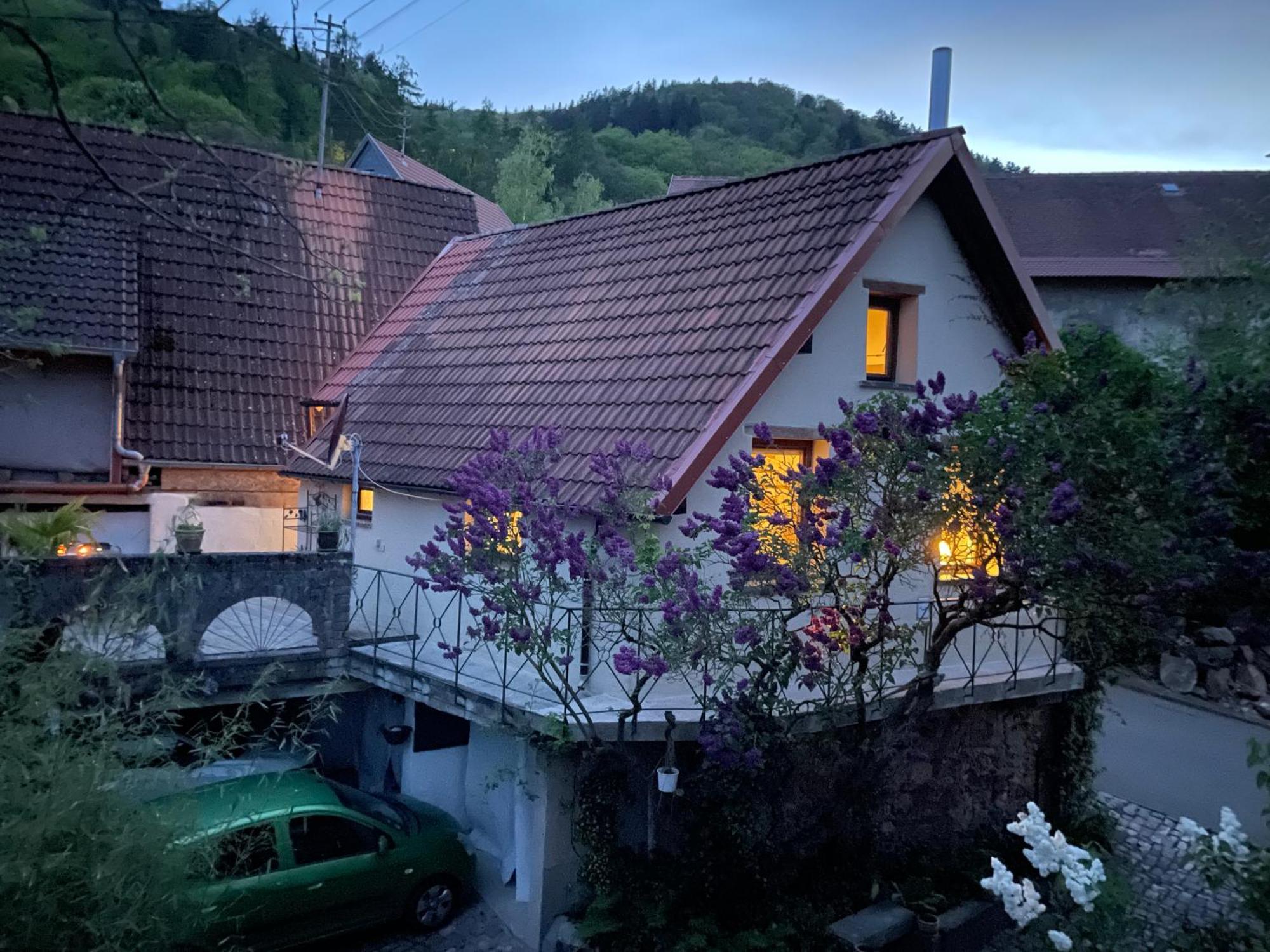 "Casita Linda "Am Donnersberg Villa Dannenfels Exterior photo